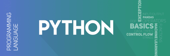 Beginner’s Guide: Python